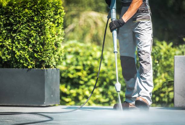 Best Animal Enclosure Cleaning  in Glendale, OH
